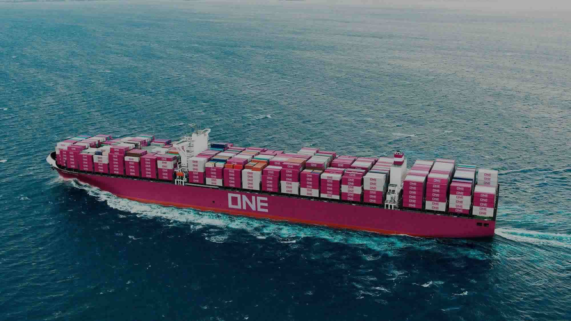 Términos y Condiciones del Uso del Sitio Web